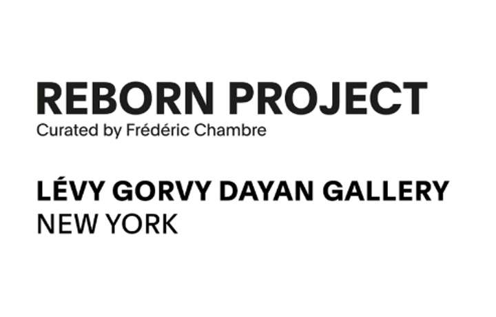 Reborn Project New York Reborn Project New York